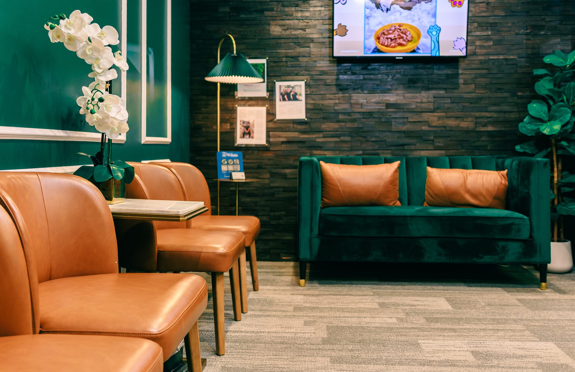 raines over the rockies family dentistry